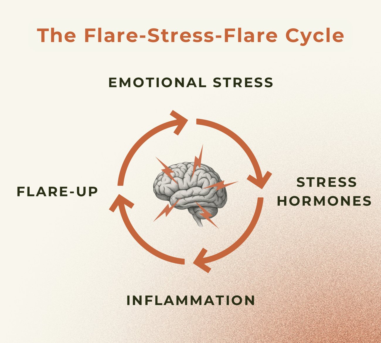 The Flare-Stress-Flare Cycle: emotional stress, stress hormones, inflammation, flare-up