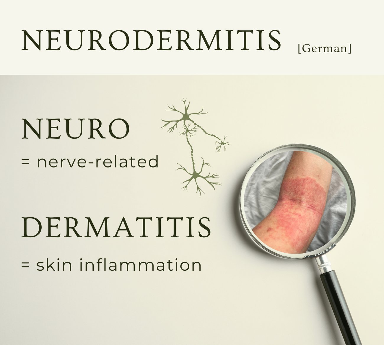 Neurodermitis: Neuro (nerve-related) + Dermatitis (skin inflammation)